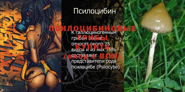 герыч Богородицк