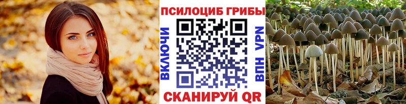 Галлюциногенные грибы GOLDEN TEACHER  kraken зеркало  shop состав  Александровское 